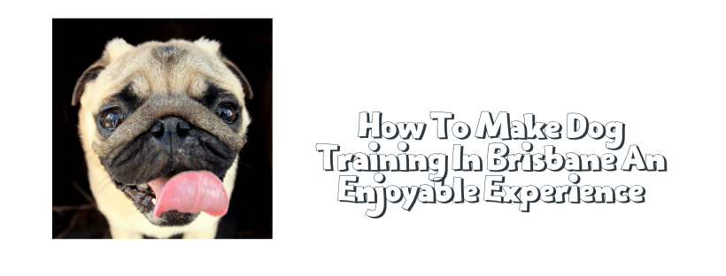 How To Make Dog Training In Brisbane An Enjoyable Experience