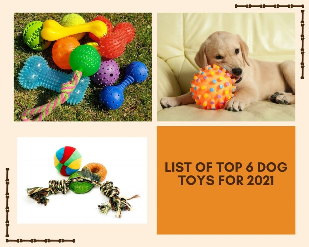 Top 6 Dog Toys