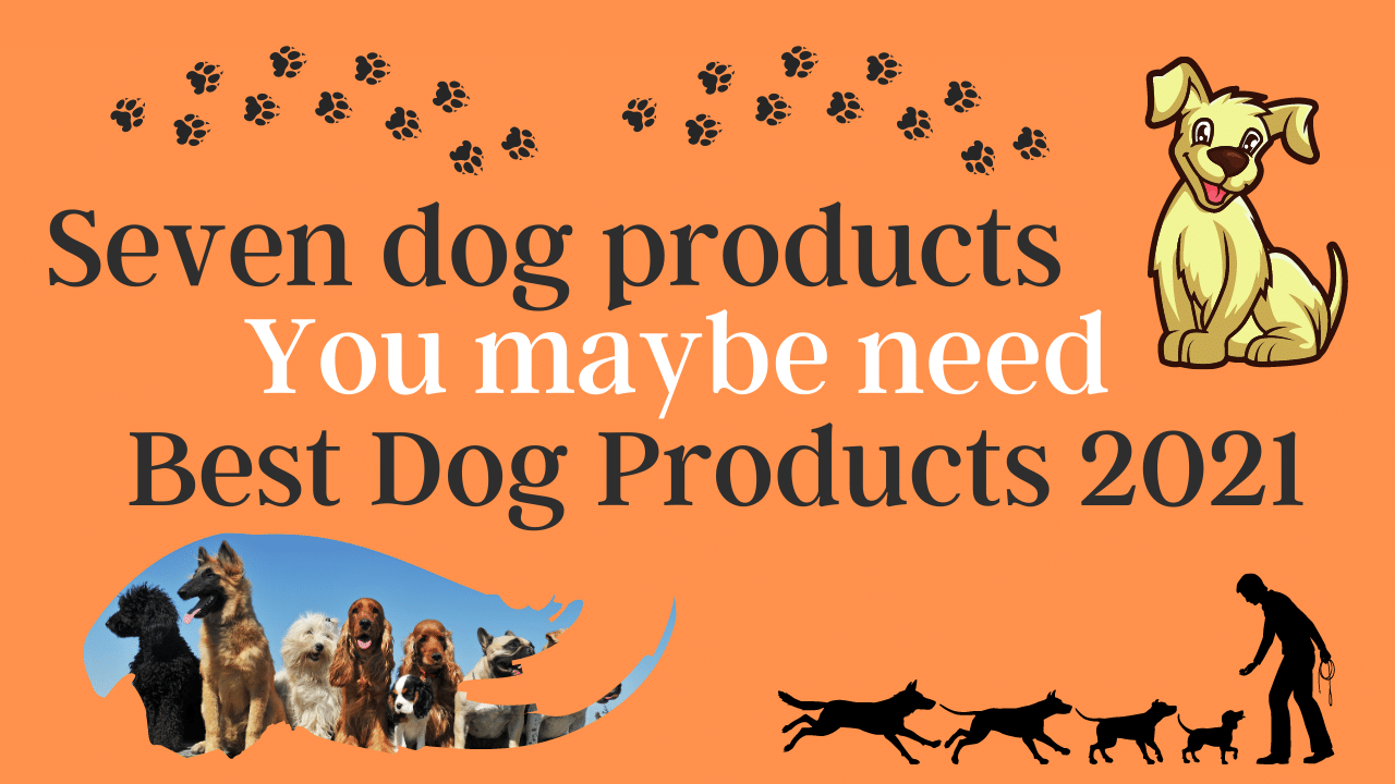 Best Dog Products 2021