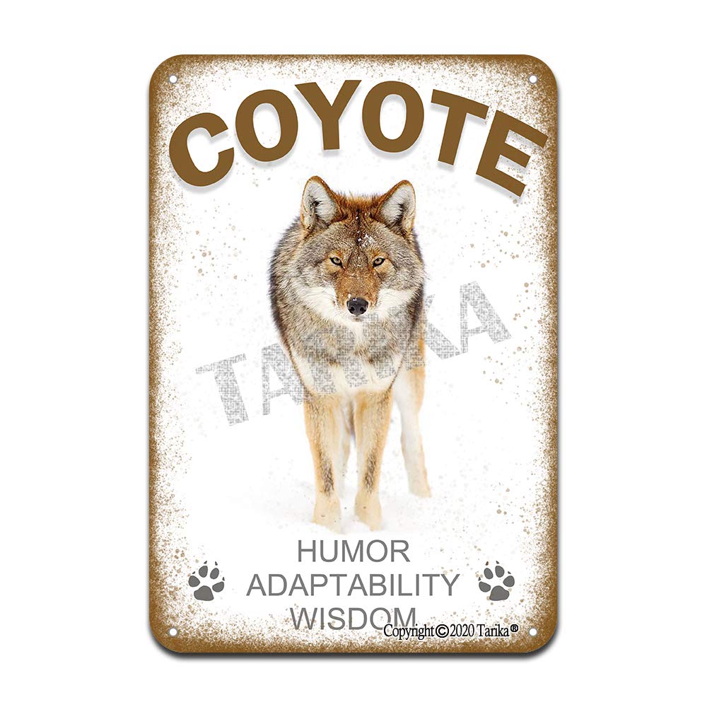 Coyote Humor Adaptability Wisdom Iron Poster Painting Tin Sign Vintage Wall Decor for Cafe Bar Pub Home Beer Decoration Crafts