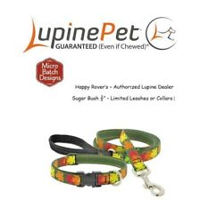 Lupine Lifetime LIMITED EDITION Dog Collar or Leash - 3/4" - SUGAR BUSH