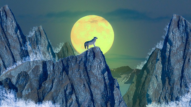 wolf, moon, mountain